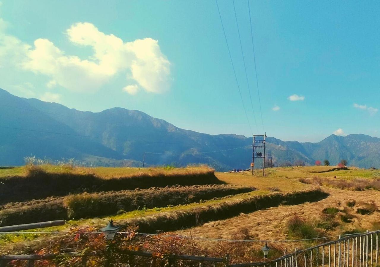 Bamboo Junction Resort - Kanatal, Valley & Mountain View Dhanaulti Kültér fotó